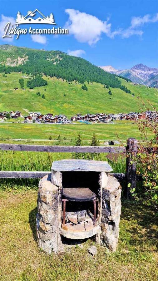 Chalet Rododendro Forest By Livigno Accomodation Esterno foto